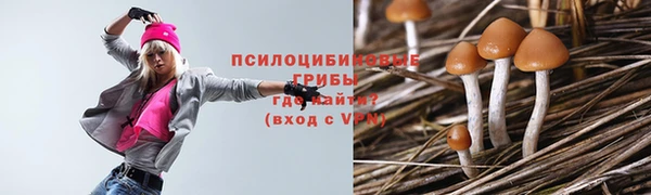 мяу мяу мука Бугульма