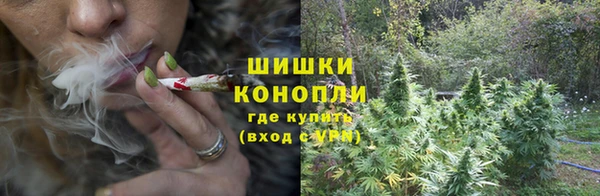 соль курить ск Бородино