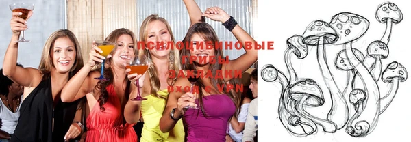 соль курить ск Бородино