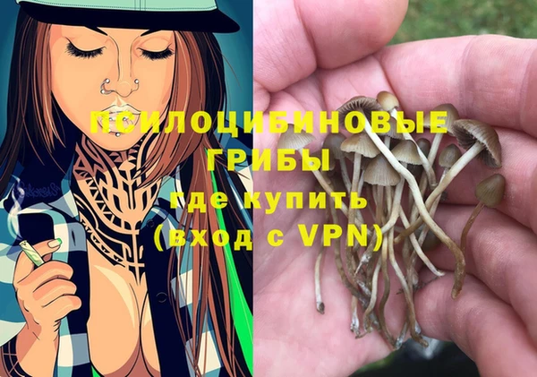 мяу мяу мука Бугульма