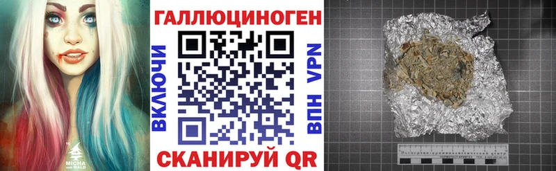 Псилоцибиновые грибы Cubensis  Вышний Волочёк 
